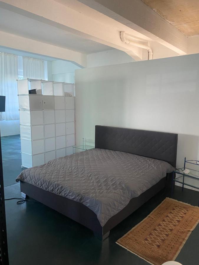 Appartamento Big One Event Loft Gastro Kitchen, 200Qm, Up To 8 Beds Dresda Esterno foto