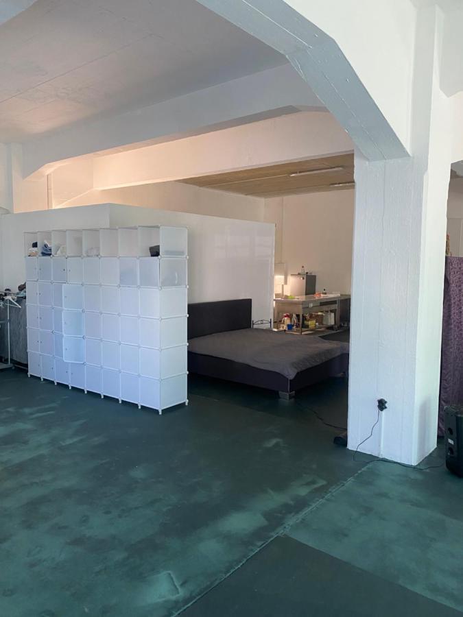 Appartamento Big One Event Loft Gastro Kitchen, 200Qm, Up To 8 Beds Dresda Esterno foto